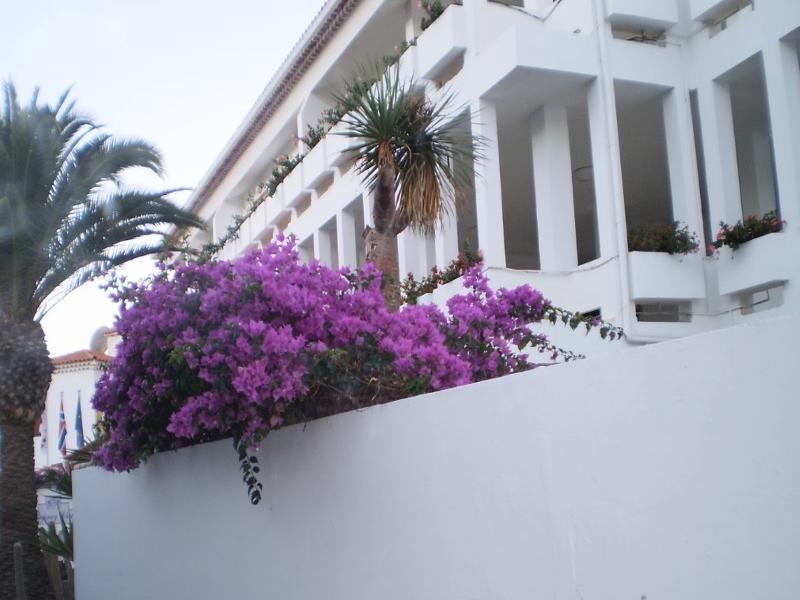 Regency Torviscas Apartments And Suites Costa Adeje Dış mekan fotoğraf